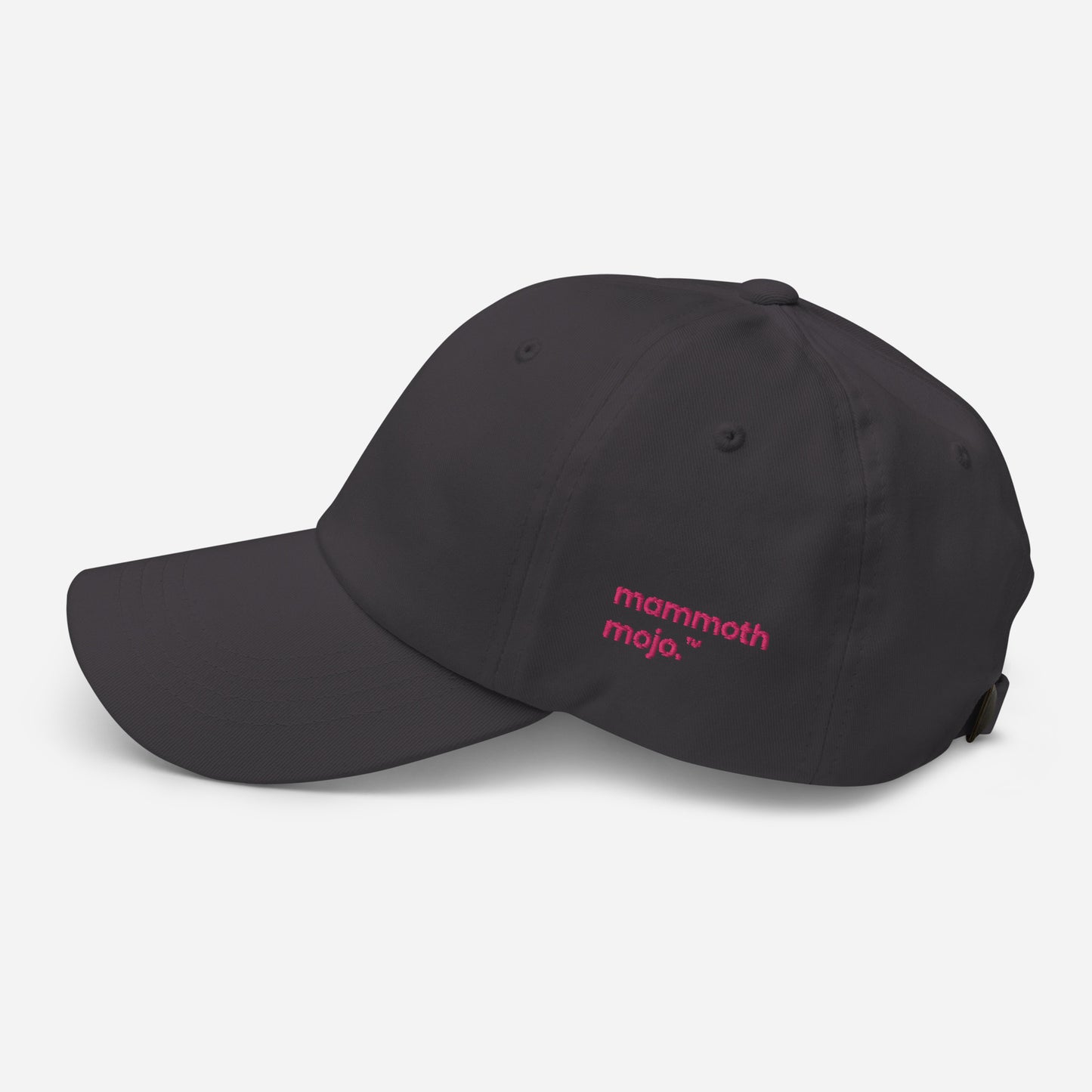 "TL;DR" Dad Hat — Dark Grey Edition. - Mammoth Mojo