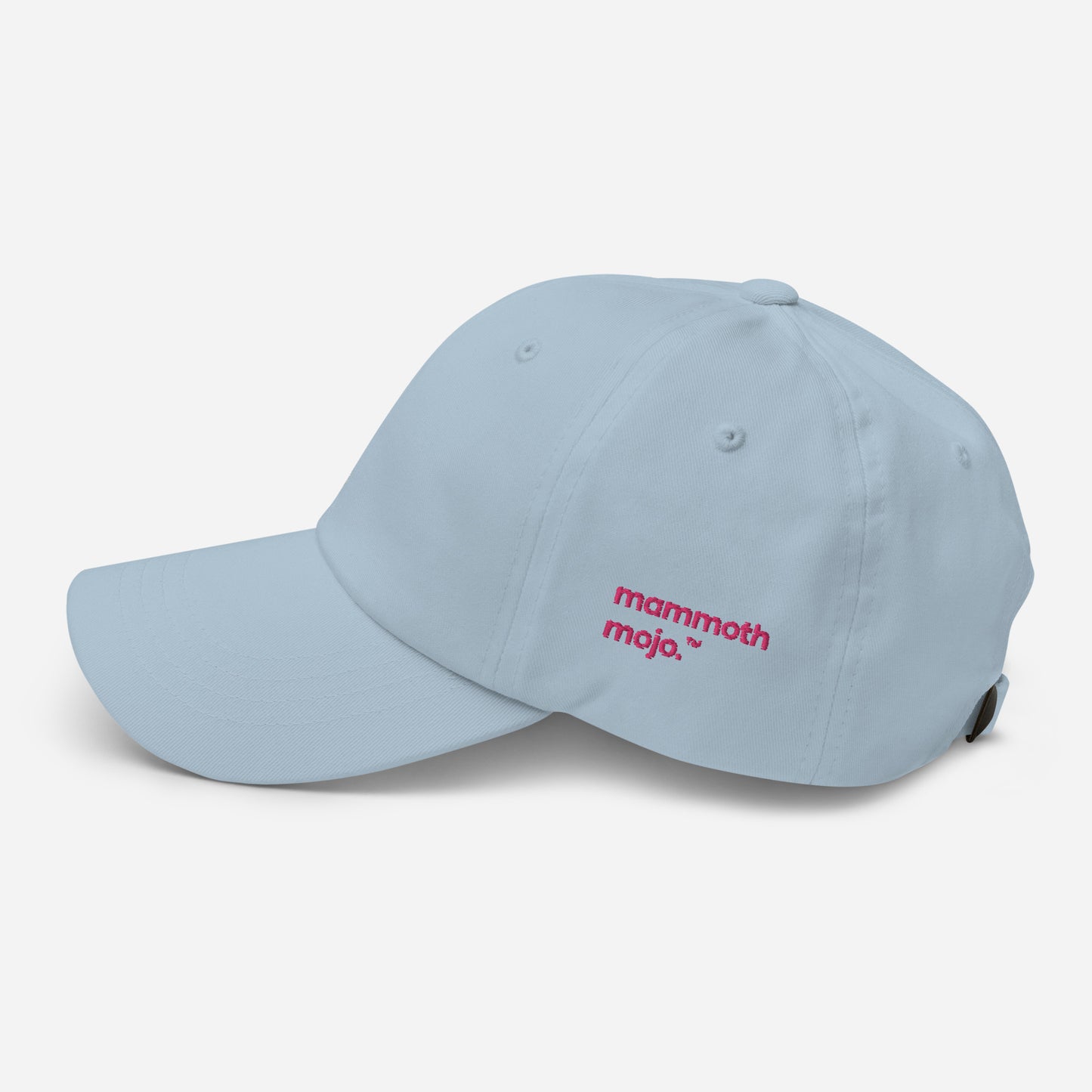 "Govern yourself accordingly." Dad Hat — Light Blue Edition. - Mammoth Mojo