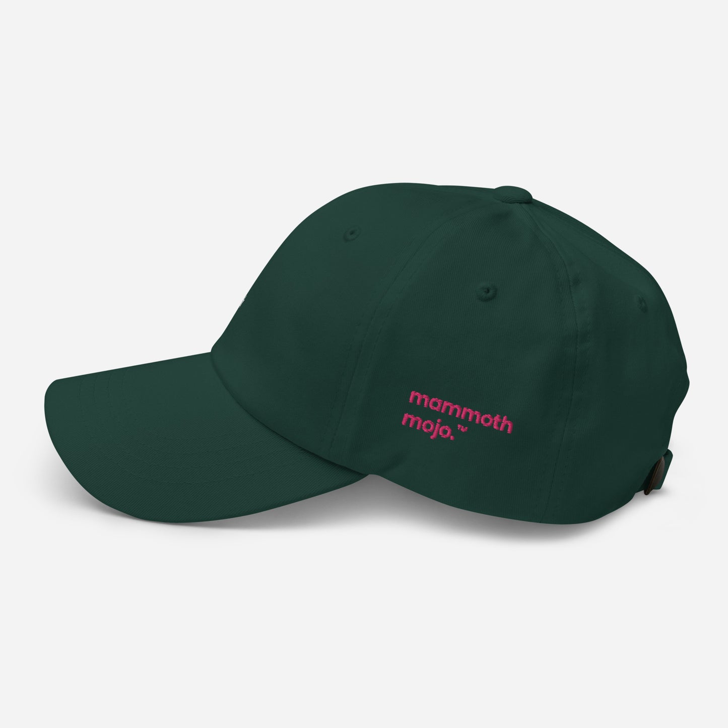 "Let's circle back on that." Dad hat - Spruce edition. - Mammoth Mojo